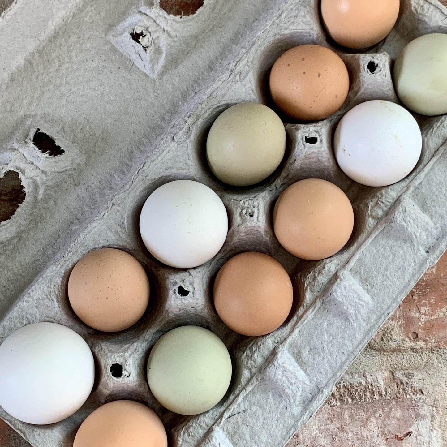 Farm-Fresh Eggs - 1 Dozen