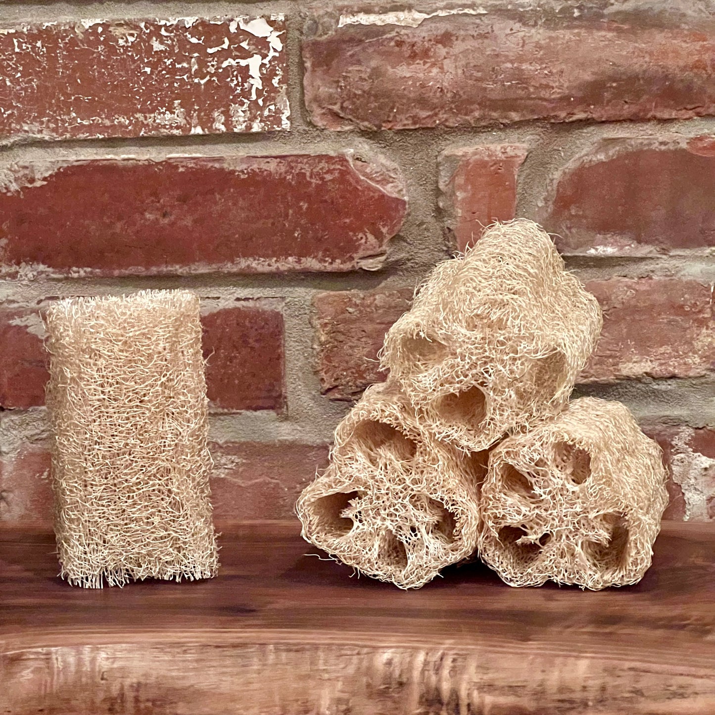 Luffa - Natural Fiber Sponge